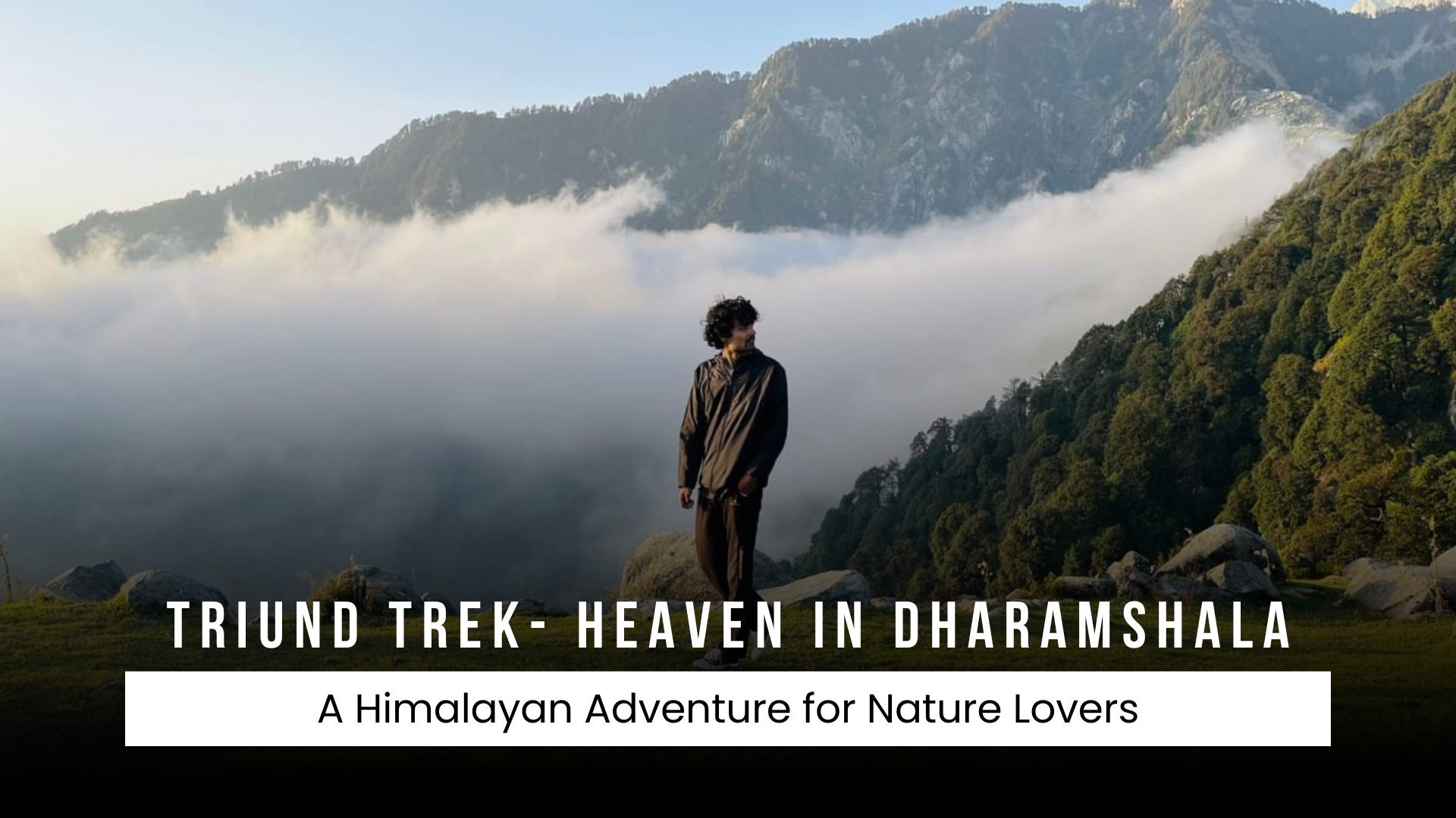 Triund Trek -A Himalayan Haven for Nature Lovers